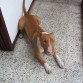 QUIERO NOVIA¡¡¡¡¡¡¡¡¡¡¡¡